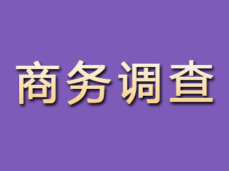 泽库商务调查